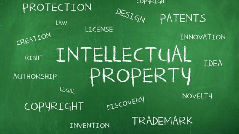 Evolution of Intellectual Property Rights