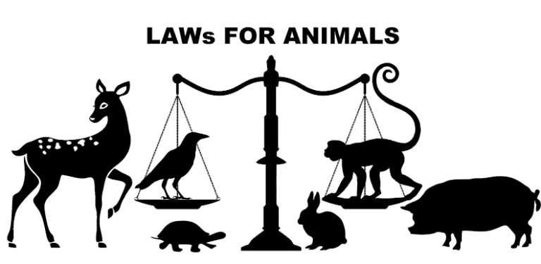 animal rights