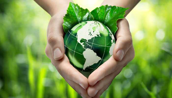 Constitutional Provisions of protection of Environment