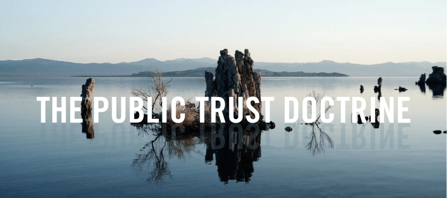 Public Trust Doctrine - MC Mehta vs Kamal Nath