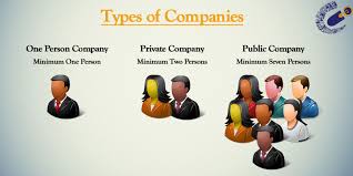 Definition and Characteristics of different types of Companies