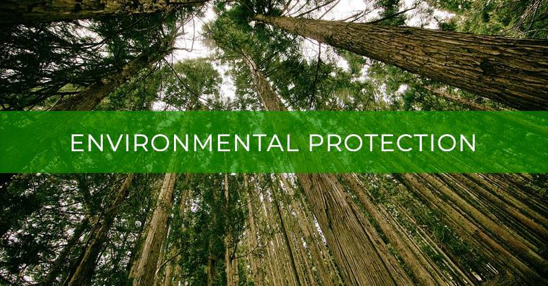 Common law remedies for the environmental protection