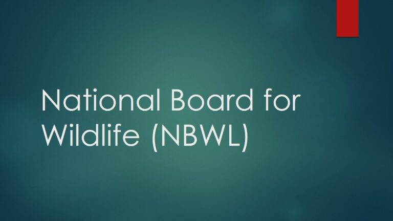 National Board for Wildlife - Constitution, Powers and Functions