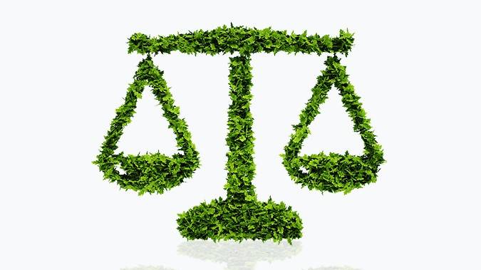 Judicial Activism and Environmental Protection in India
