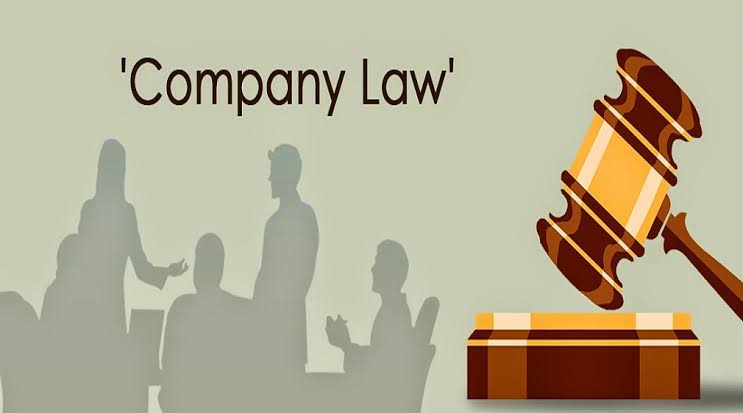 Role of a director in a company – duties and powers